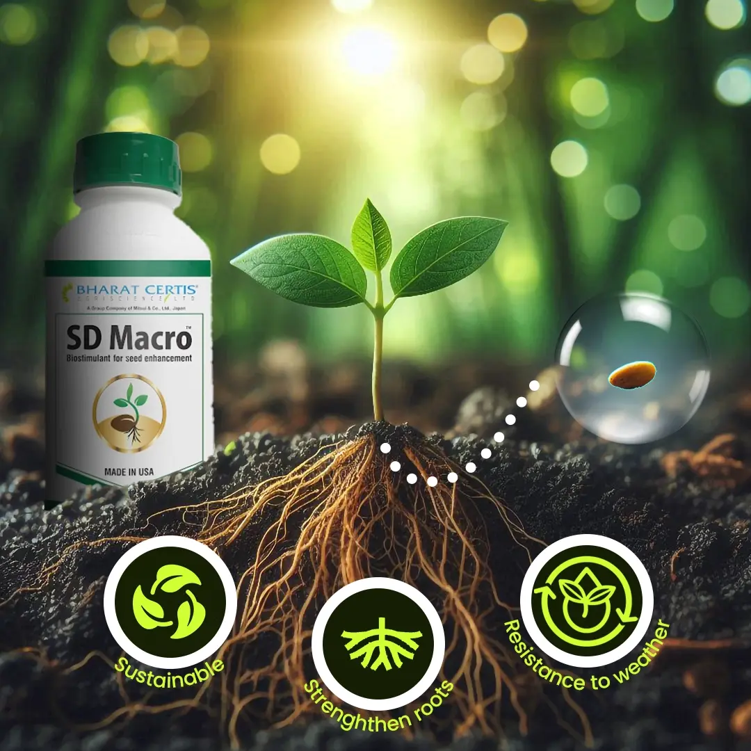 SD Macro Biostimulant Product for Seedling Growth